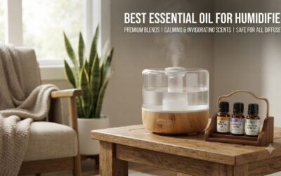 8 Best essential oils for humidifier: Top natural aromas