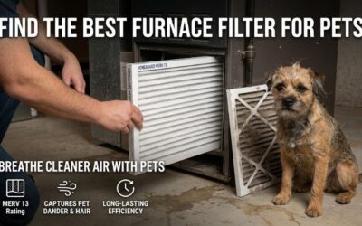 8 Best Furnace Filters for Pets: Top Pet Hair HVAC Units