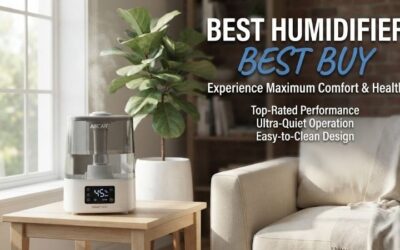 5 Best Humidifier Best Buy: Top Rated Air Units