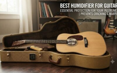 8 Best humidifiers for guitars: Top wood care systems