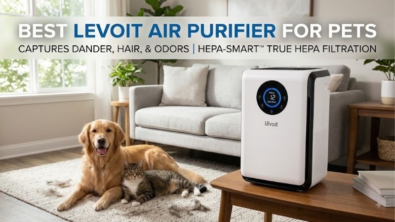 8 Best Levoit Air Purifiers for Pets: Top Pet Hair Models 8 Best Levoit Air Purifiers for Pets: Top Pet Hair Models