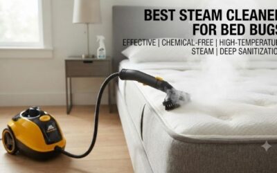 8 Best steam cleaners for bed bugs: Thermal pest control