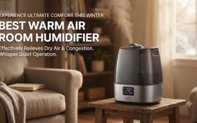 5 Best Warm Air Room Humidifiers: Heated Steam Comfort