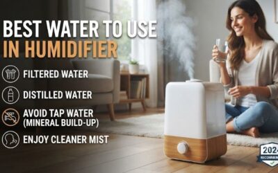 8 Best Waters To Put In Humidifier: Pure Mineral Guide