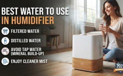 7 Best Waters To Use In Humidifier For Long Life Span