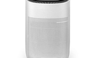 Comparison: Dehumidifier vs. Air Purifier for Mold and Mildew Prevention