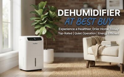 Dehumidifier At Best Buy: Top Store Models For Dry Air