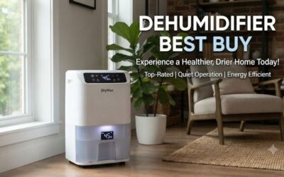 Dehumidifier Best Buy: Top Rated Home Moisture Controls