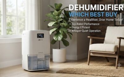 Dehumidifier Which Best Buy: Select Great Home Units