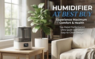 Humidifier At Best Buy: Top Cool Mist Air Units