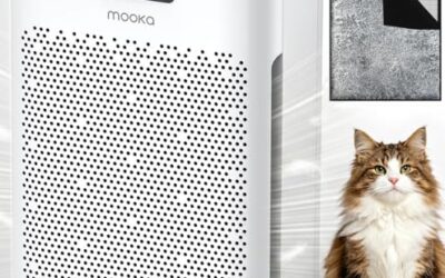 Review: MOOKA Air Purifier True HEPA Filter for Large Rooms