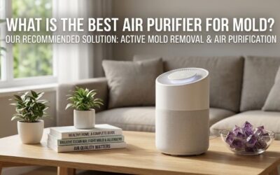 What is the best air purifier for mold: Top picks
