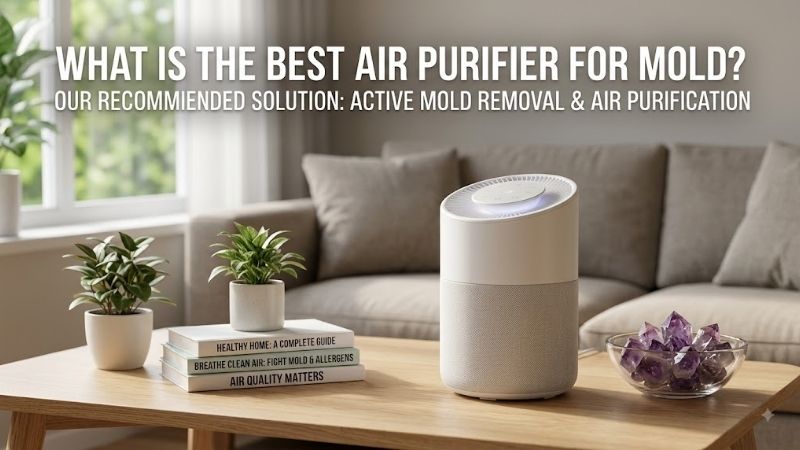 What is the best air purifier for mold: Top picks