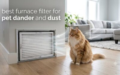 Best furnace filter for pet dander and dust: Top guide