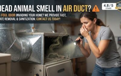 Dead Animal Smell In Air Duct: Removal Steps & Home Tips