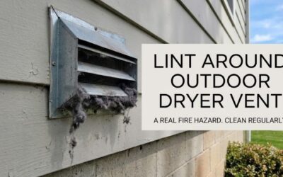 Lint Around Outdoor Dryer Vent: Warning Signs & Solutions