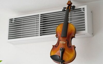Best Student Violins for Beginners and School