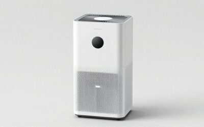 Air Purifier and Dehumidifier: One Combo Unit or Two Machines?