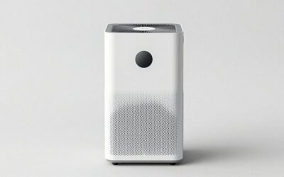 Best Air Purifier For Dust Removal