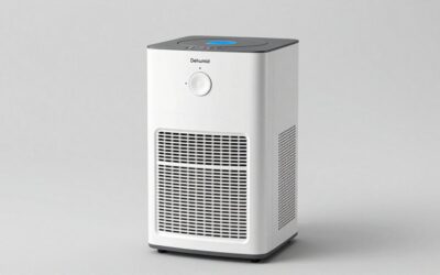 Best Dehumidifier for Musty Smell: Find the Moisture First, Then Pick From 8 Options
